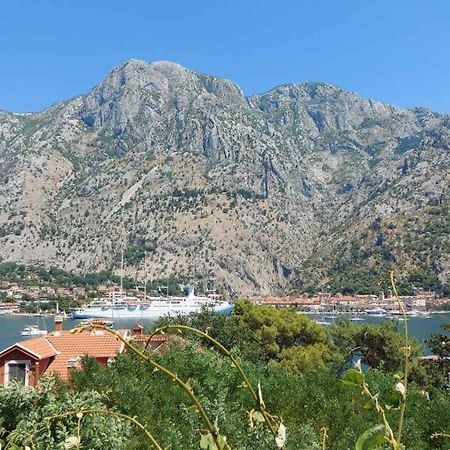 M&B Apartment Kotor Bagian luar foto