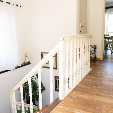 M&B Apartment Kotor Bagian luar foto