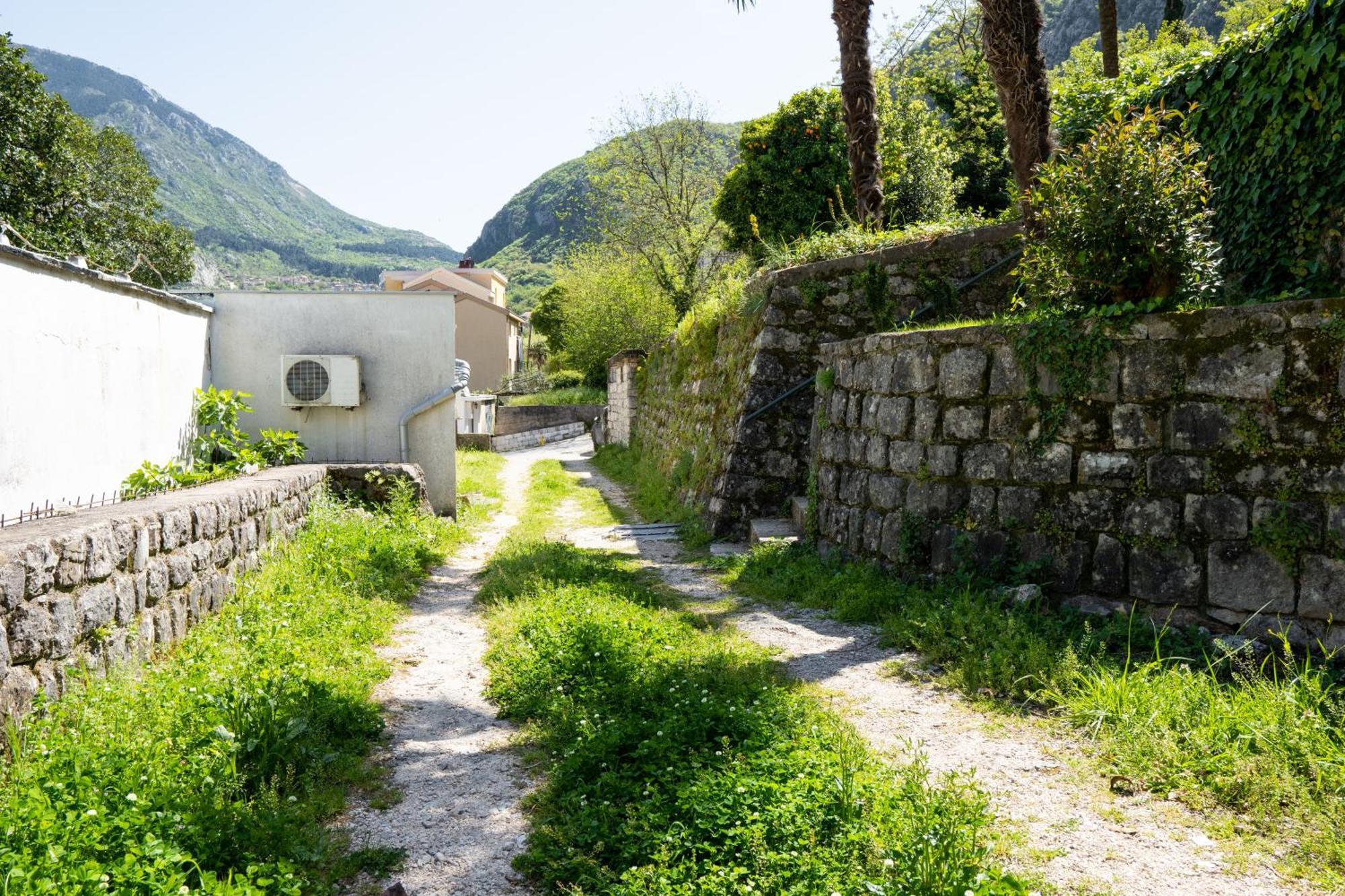 M&B Apartment Kotor Bagian luar foto
